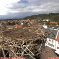 15_10-nest.jpg