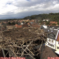 15_15-nest.jpg