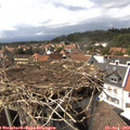 15_20-nest.jpg