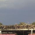 15_25-mast.jpg
