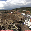 15_25-nest.jpg