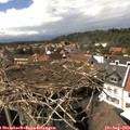 15_30-nest.jpg