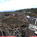 15_35-nest.jpg