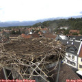15_45-nest.jpg