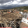 15_55-nest.jpg