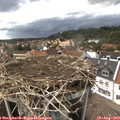 16_00-nest.jpg
