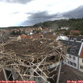 16_05-nest.jpg