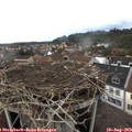 16_10-nest.jpg