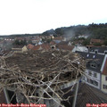 16_20-nest.jpg