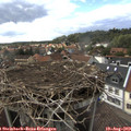 16_25-nest.jpg