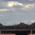 16_30-mast.jpg
