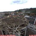 16_30-nest.jpg