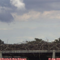 16_35-mast.jpg