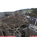 16_35-nest.jpg