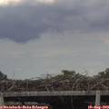 16_40-mast.jpg