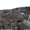 16_40-nest.jpg