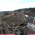 16_45-nest.jpg