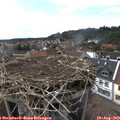 16_55-nest.jpg
