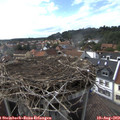 17_00-nest.jpg