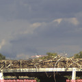 17_05-mast.jpg
