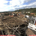 17_05-nest.jpg