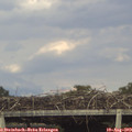 17_10-mast.jpg