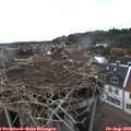 17_10-nest.jpg
