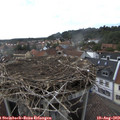 17_15-nest.jpg