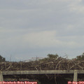 17_25-mast.jpg