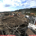 17_30-nest.jpg