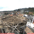 17_45-nest.jpg