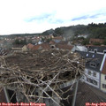 18_00-nest.jpg