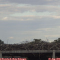 18_05-mast.jpg