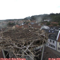 18_10-nest.jpg