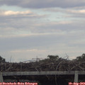 18_15-mast.jpg