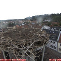 18_15-nest.jpg