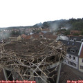 18_25-nest.jpg
