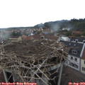 18_35-nest.jpg