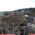 18_40-nest.jpg