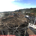 18_45-nest.jpg