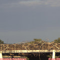 18_55-mast.jpg