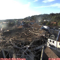 18_55-nest.jpg