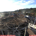 19_00-nest.jpg