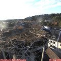 19_05-nest.jpg