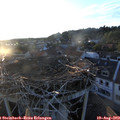 19_55-nest.jpg