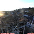 20_00-nest.jpg