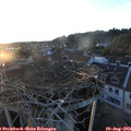 20_05-nest.jpg