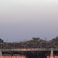 20_10-mast.jpg