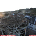 20_10-nest.jpg
