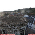 20_15-nest.jpg